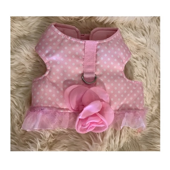 best way to find puppies for sale